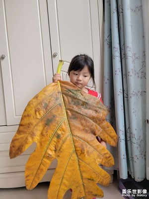 【美好時光】+小驚喜