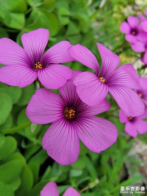 【美好時光】+周末游玩