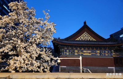 【美好時(shí)光】+遇見花海