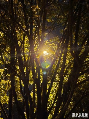 【美麗夜景】夜晚景色