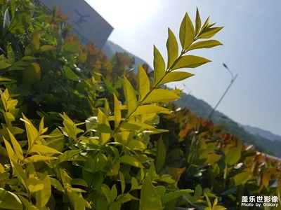 【美好時光】光線的故事