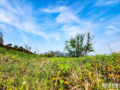 【美好時光】+遇見近郊