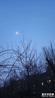 【美麗夜景】初春夜晚