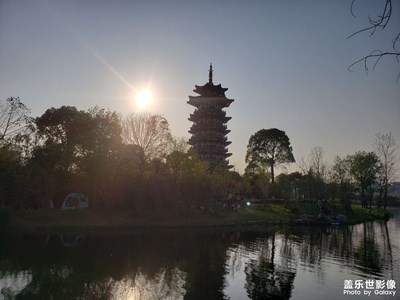 洋湖濕地公園