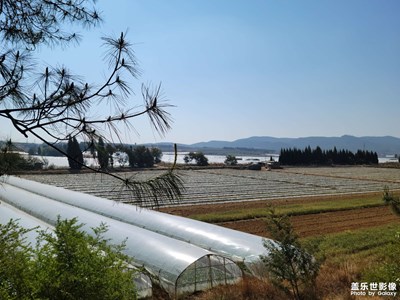 家鄉(xiāng)隨拍