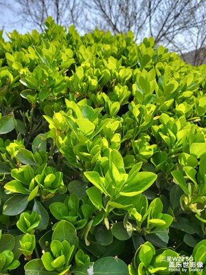 【美好時光】+公園溜達(dá)