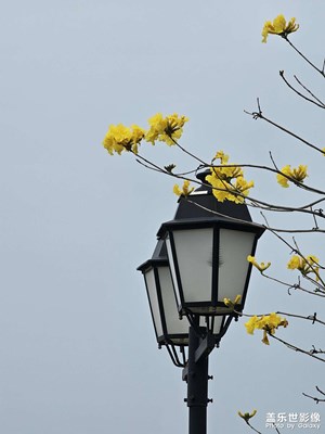 10倍/30倍長(zhǎng)焦杠杠的