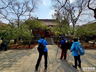 【美好時(shí)光】執(zhí)著