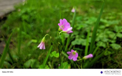 待到雨散看天青，守得云開見天明?