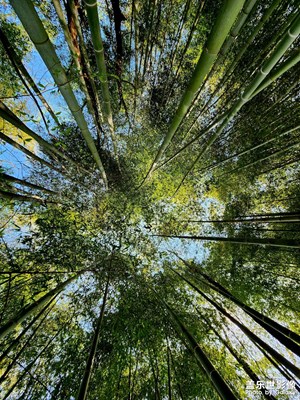 鄉(xiāng)村山色