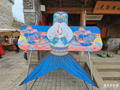 【拍有趣味】+風(fēng)箏隨拍