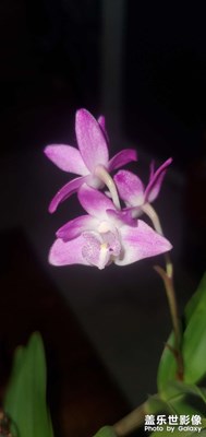 夏天到了。。。。