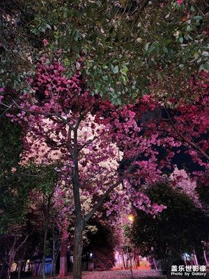 煙花三月下?lián)P州