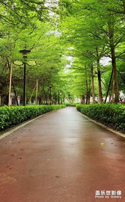 【拍有趣味】+快樂假日