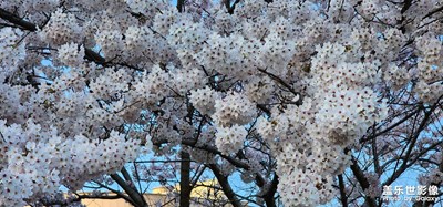 春暖花開