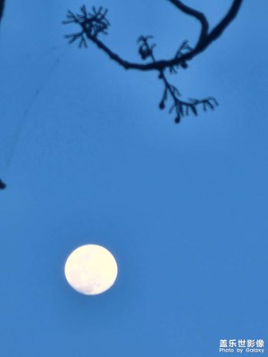 清水出芙蓉，天然去雕飾