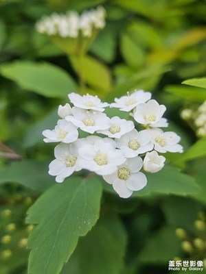 春意盎然????鳥語花香????