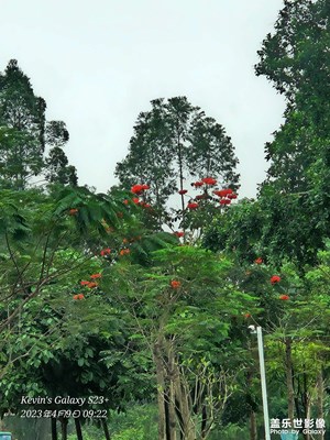 S23+新機(jī)隨手拍