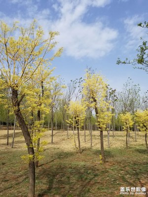 【拍有趣味】周日閑拍