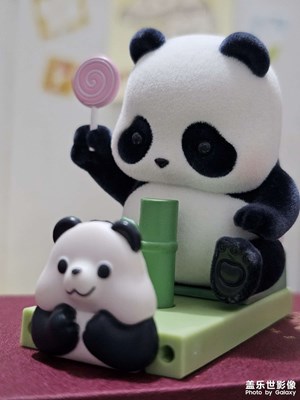 可可愛愛的熊貓