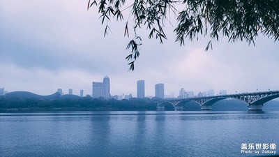 霧鎖紫荊，煙雨春