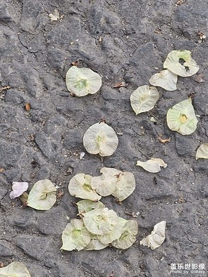 更新后隨手拍