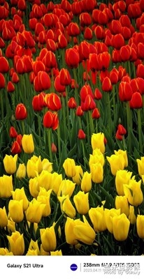 【拍有趣味】植物園打卡