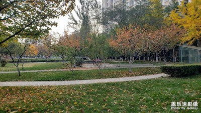 老9拍照也還是不錯的