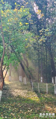 丁達(dá)爾效應(yīng)