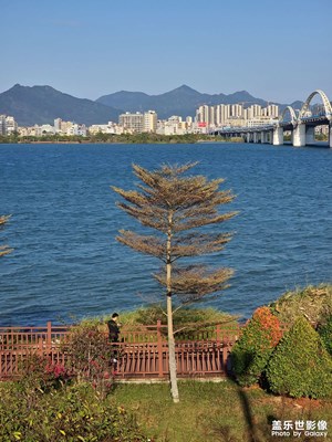 【四月物語】距離不遠，距離很遠