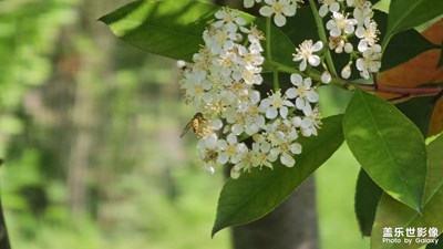 【四月物語】露營隨拍