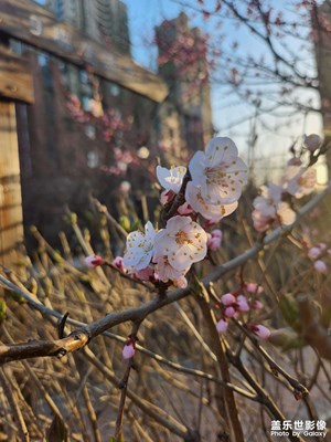 【四月物語(yǔ)】四月暖花開(kāi)