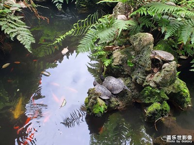 【四月物語】+親來新都，心事都成！