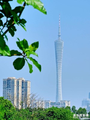 【四月物語】又見小蠻腰