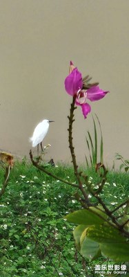 如此清孤裝休閑，
只為肚腸不饑?guó)Q。
          