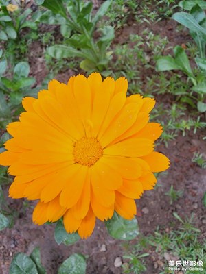 少年不懼歲月長，彼方尚有榮光在