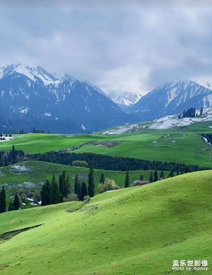 這風(fēng)景美啊