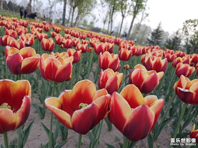 【相約春天】奧體花園