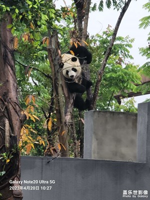  春天最后的節(jié)氣