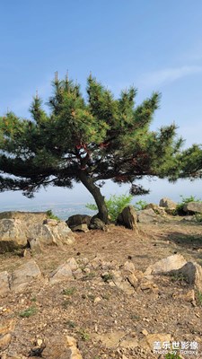 登高望遠(yuǎn)