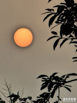 三星s23ultra長焦拍攝