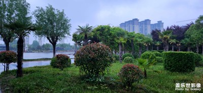 【相約春天】雨天日記