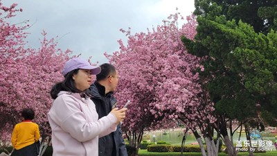 【相約春天】+春天相會(huì)