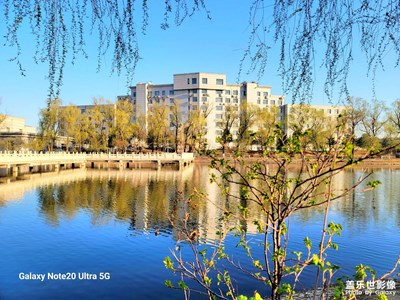 再發(fā)春天的景色