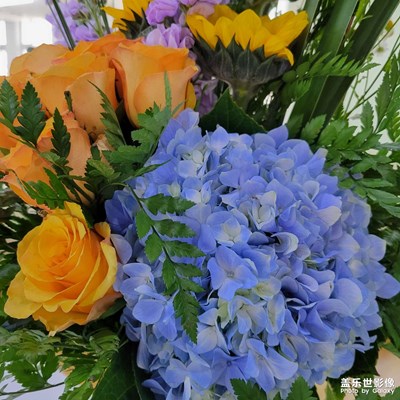 【相約春天】花