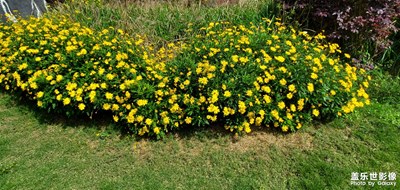 【相約春天】+春日美好