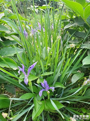 【相約春天】花落花開