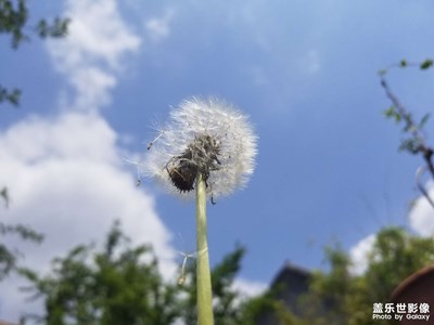 【相約春天】春天的尾巴