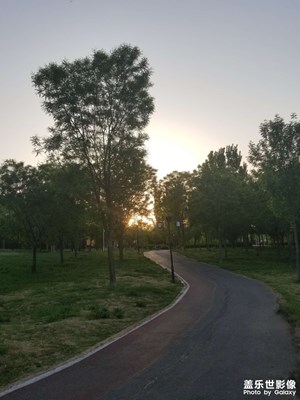 【至生活】生活中的綠