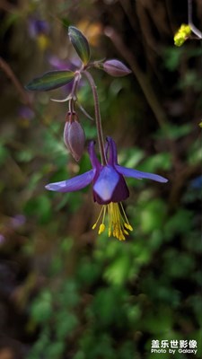 【至生活】歲月靜好